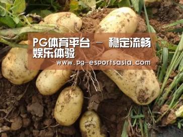 种植基地六