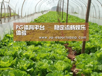 种植基地五