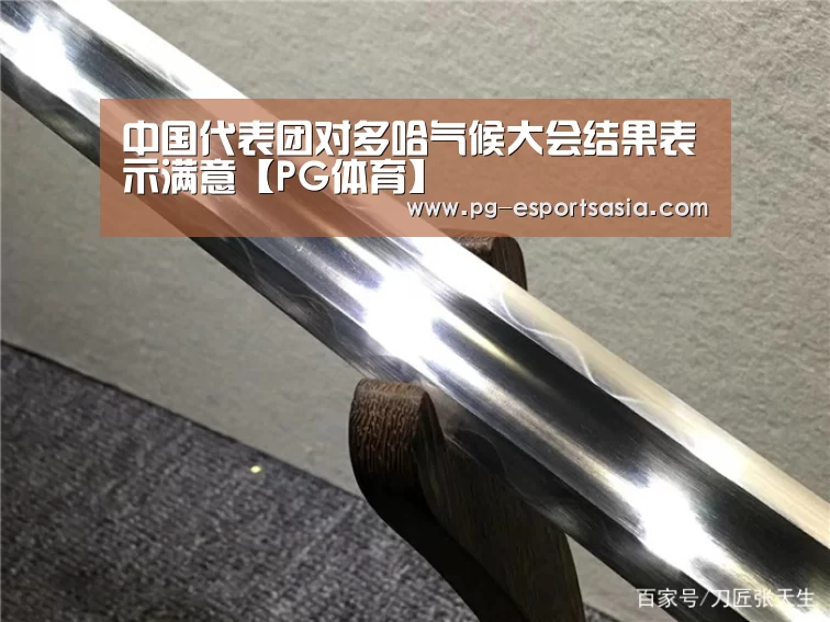 中国代表团对多哈气候大会结果表示满意【PG体育】(图3) PG体育