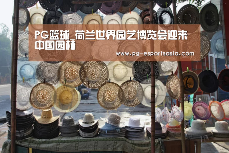 PG篮球