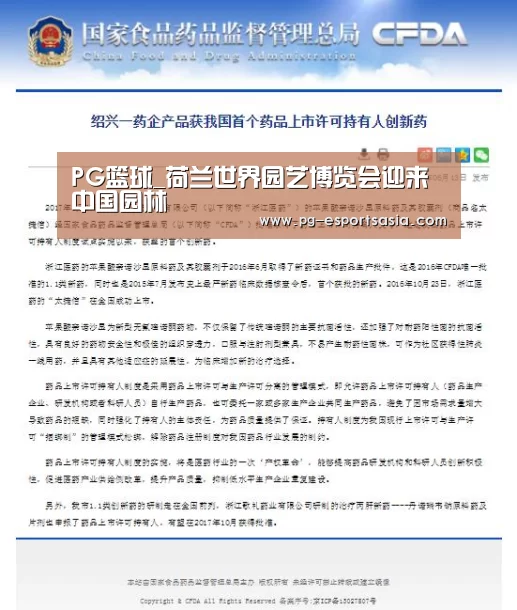 PG篮球
