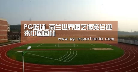 PG篮球