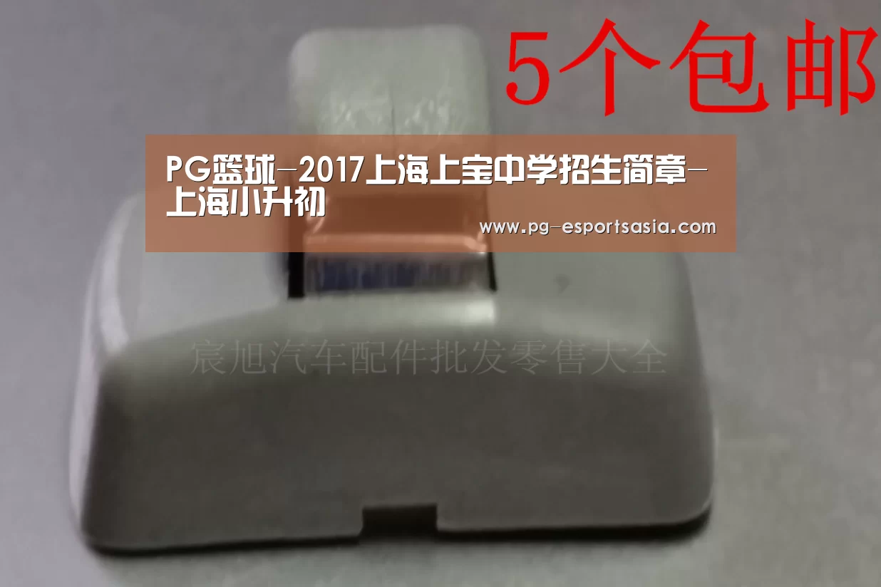 PG篮球-2017上海上宝中学招生简章-上海小升初(图1) PG篮球
